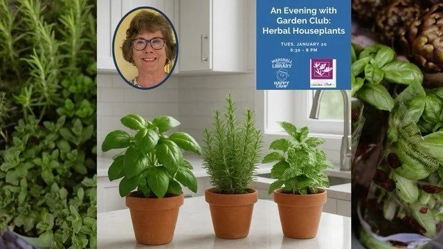 If you have a garden and a library, you have everything you need! Cicero