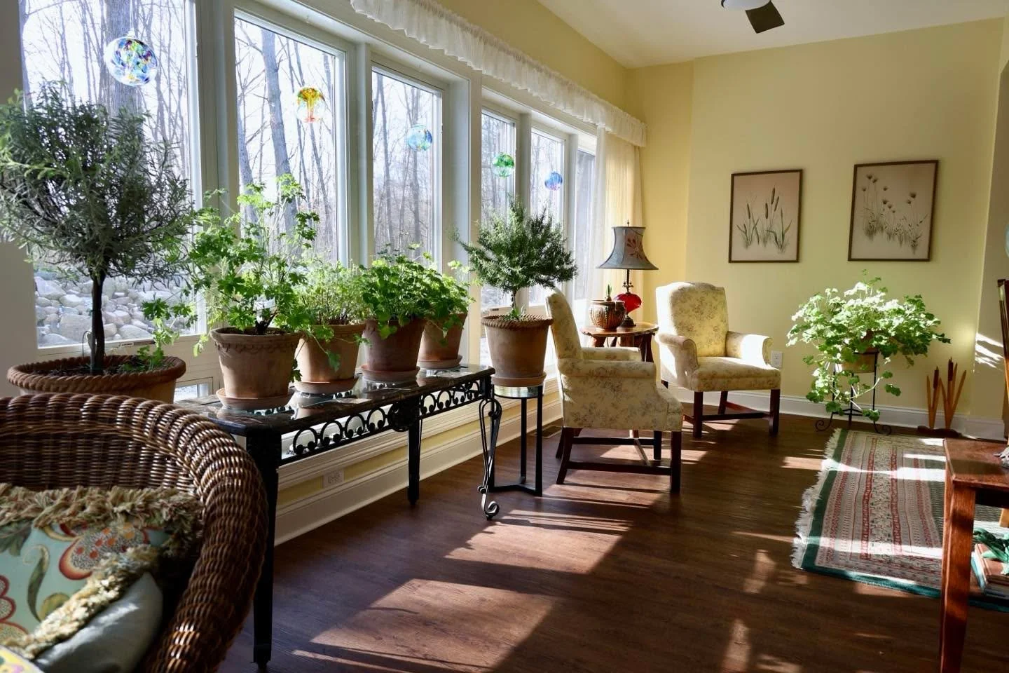 Moved to a new home,my herbs came along to help with the transition. Never doubt the power of a plant, especially if it&rsquo;s an herb.