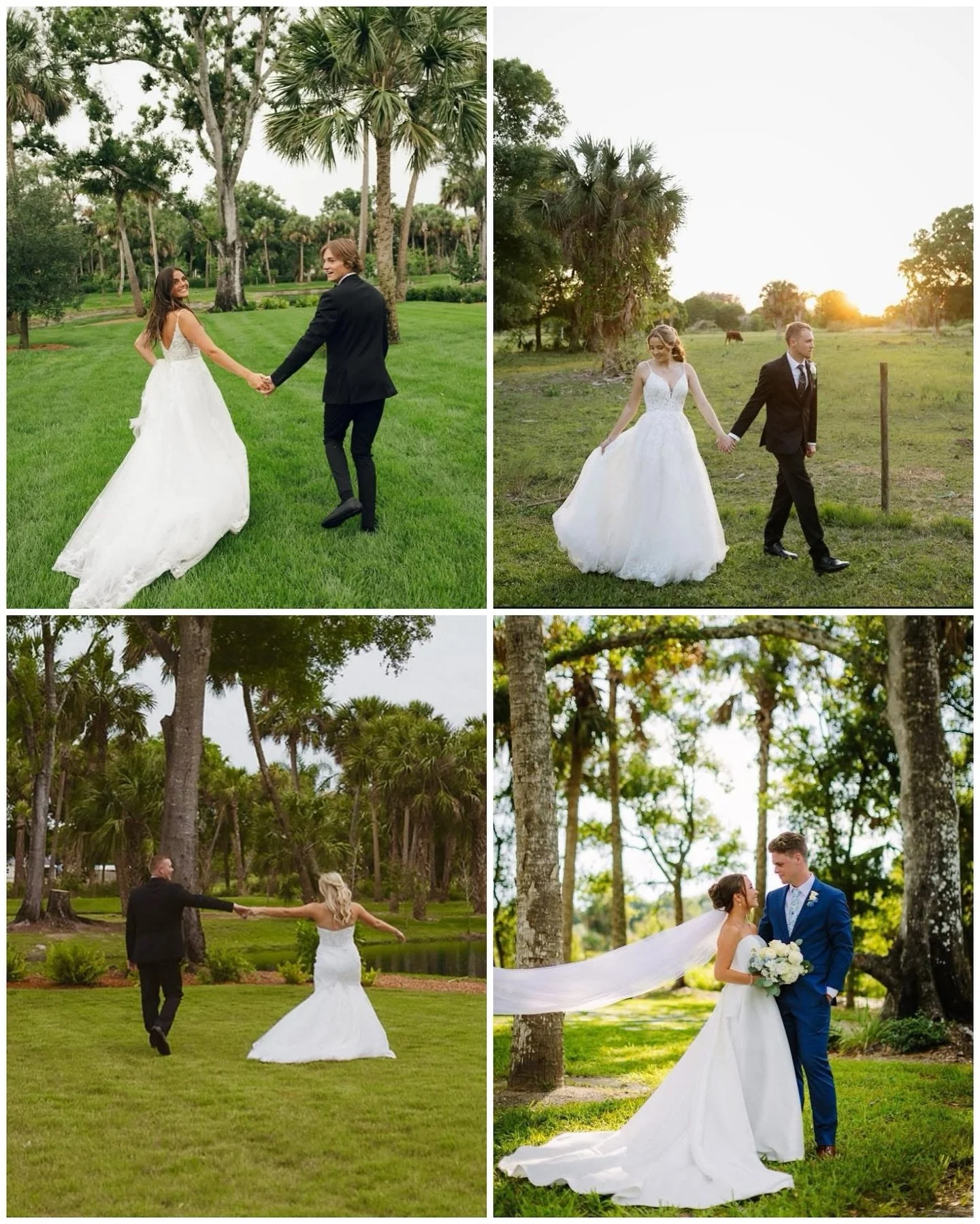 Just real love and a lawn graced with golden hour &mdash; Celebration Grove.

#celebrationgrove #floridaweddingvenue #verobeach #portstlucie #floridaweddings #indianrivercounty #verobeachweddings #goldenhour #floridaweddingphotographer #verobeachflor