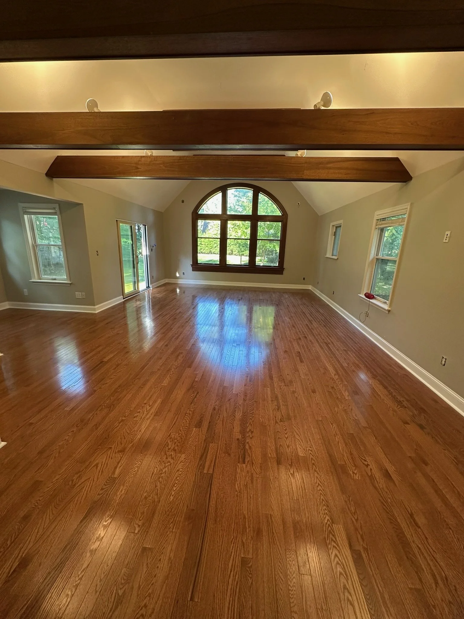 Bringing New Life to a Light-Filled Living Space