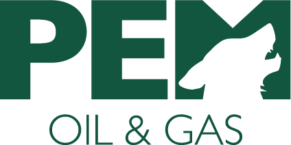 PEMLogotipo Principal.png