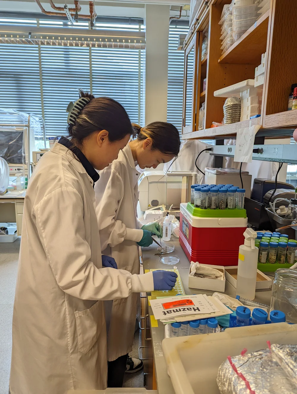 Tal Research Group