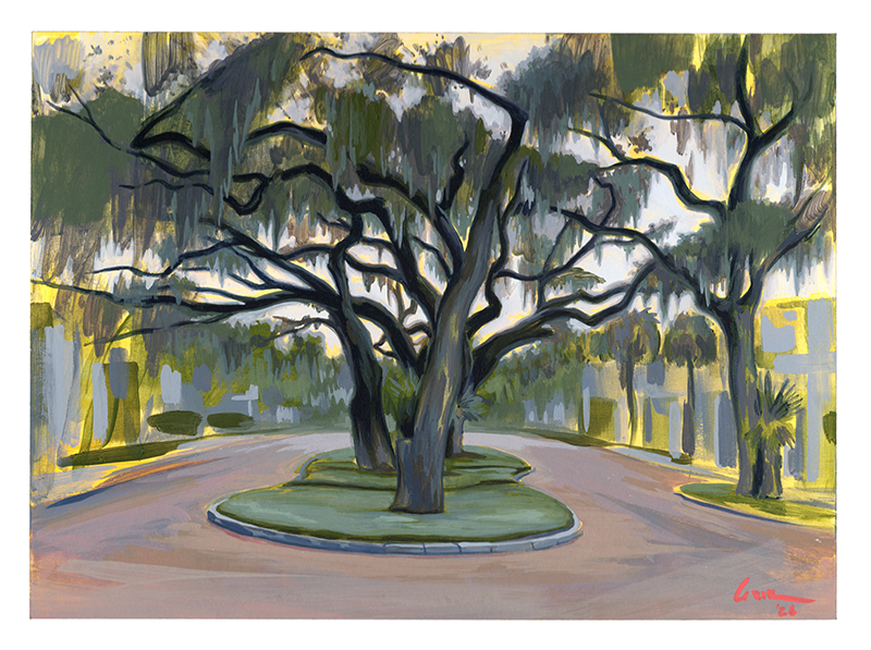 SouthCarolina_SpanishMossTree_SML.png