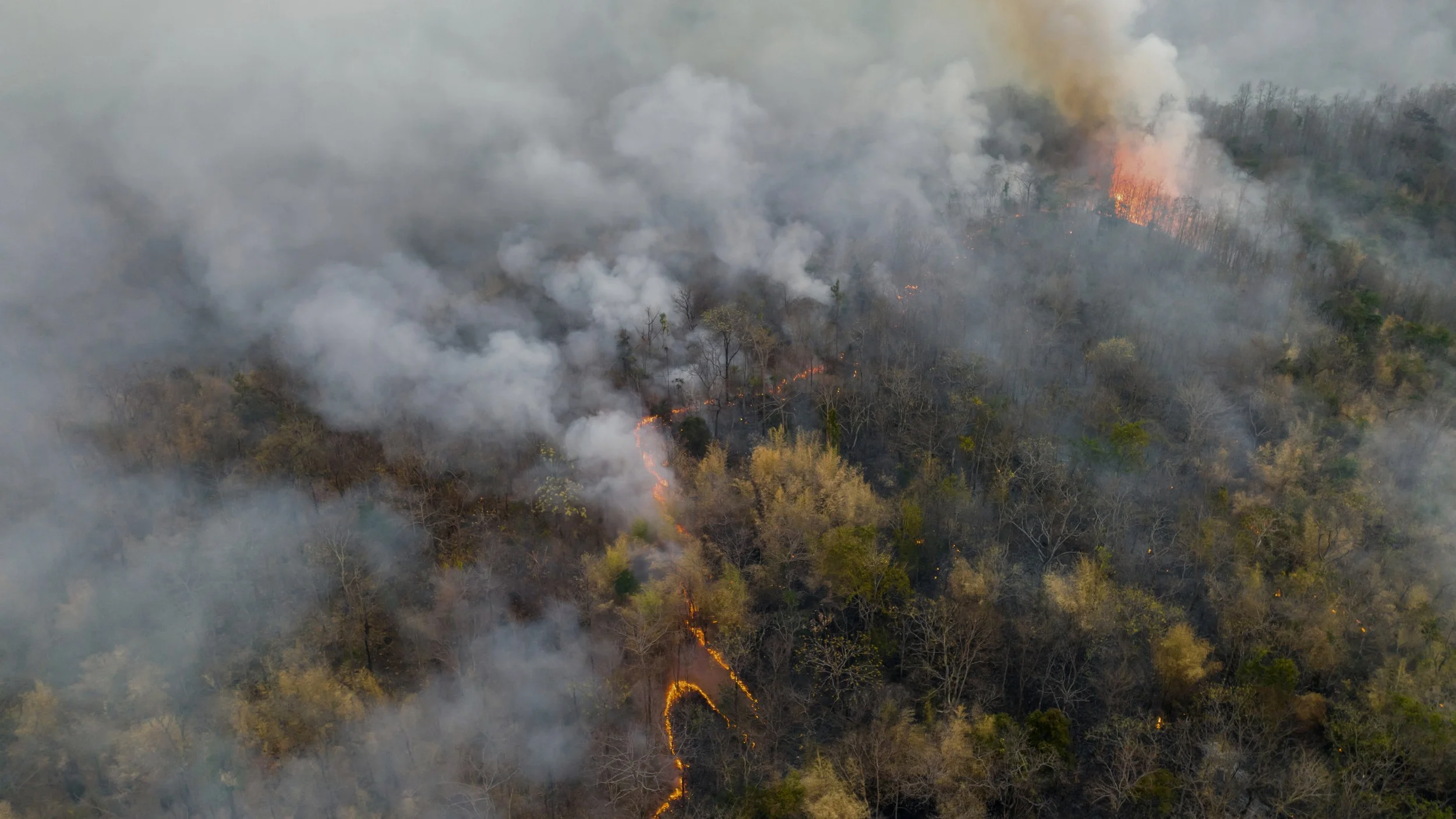 When the Pressure’s On: Navigating High-Stakes Communications