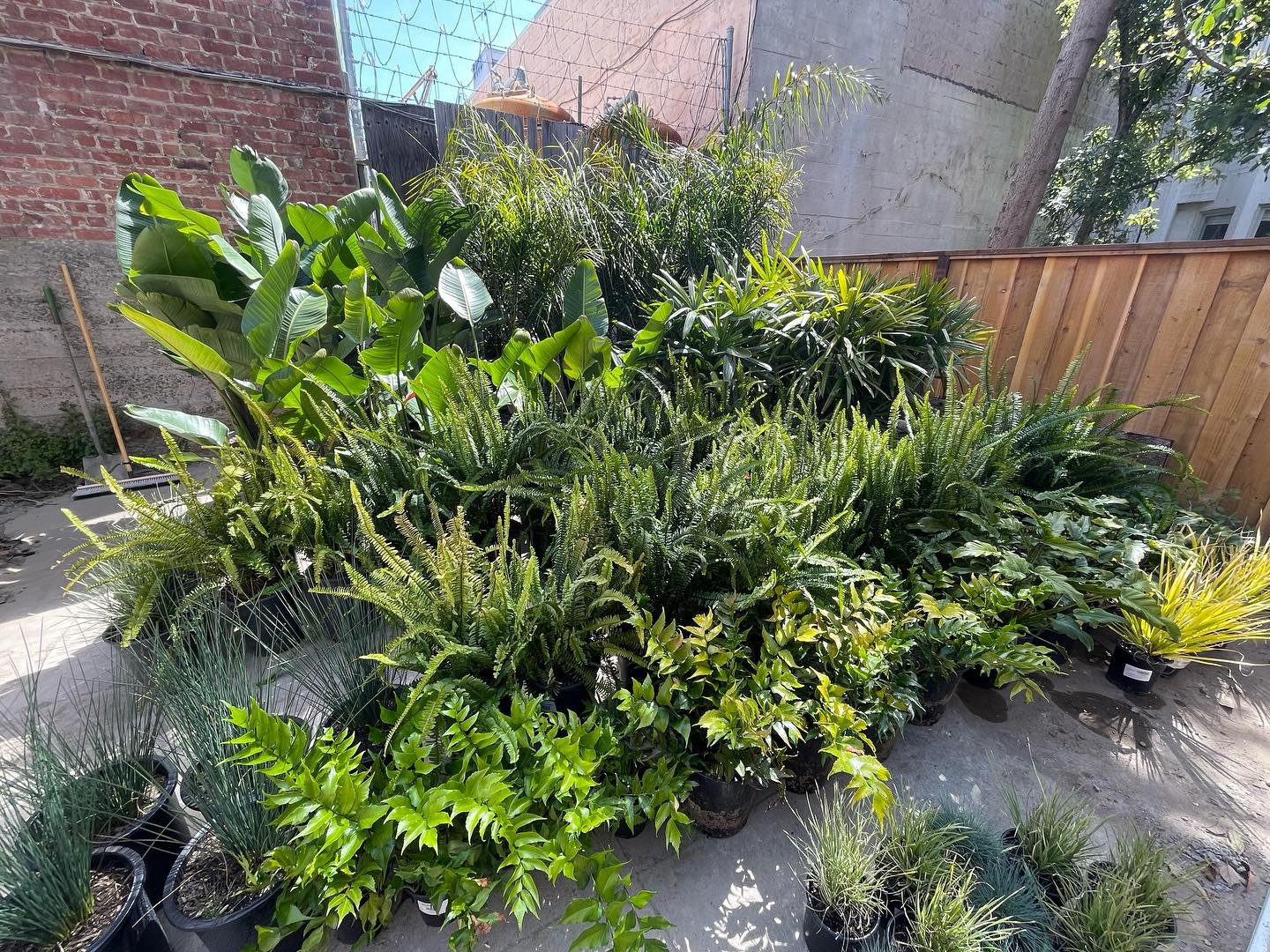 A garden bathhouse... if you plant it, they will come!

#saunaculture #sauna #bathhouse #spiritualbathhouse #hotsprings  #outdoors #naturelovers #traveltheworld  #bathhouse #soakbathhouse #costarica #bathhousespa #archlovers ##onsen #spa  #interior12