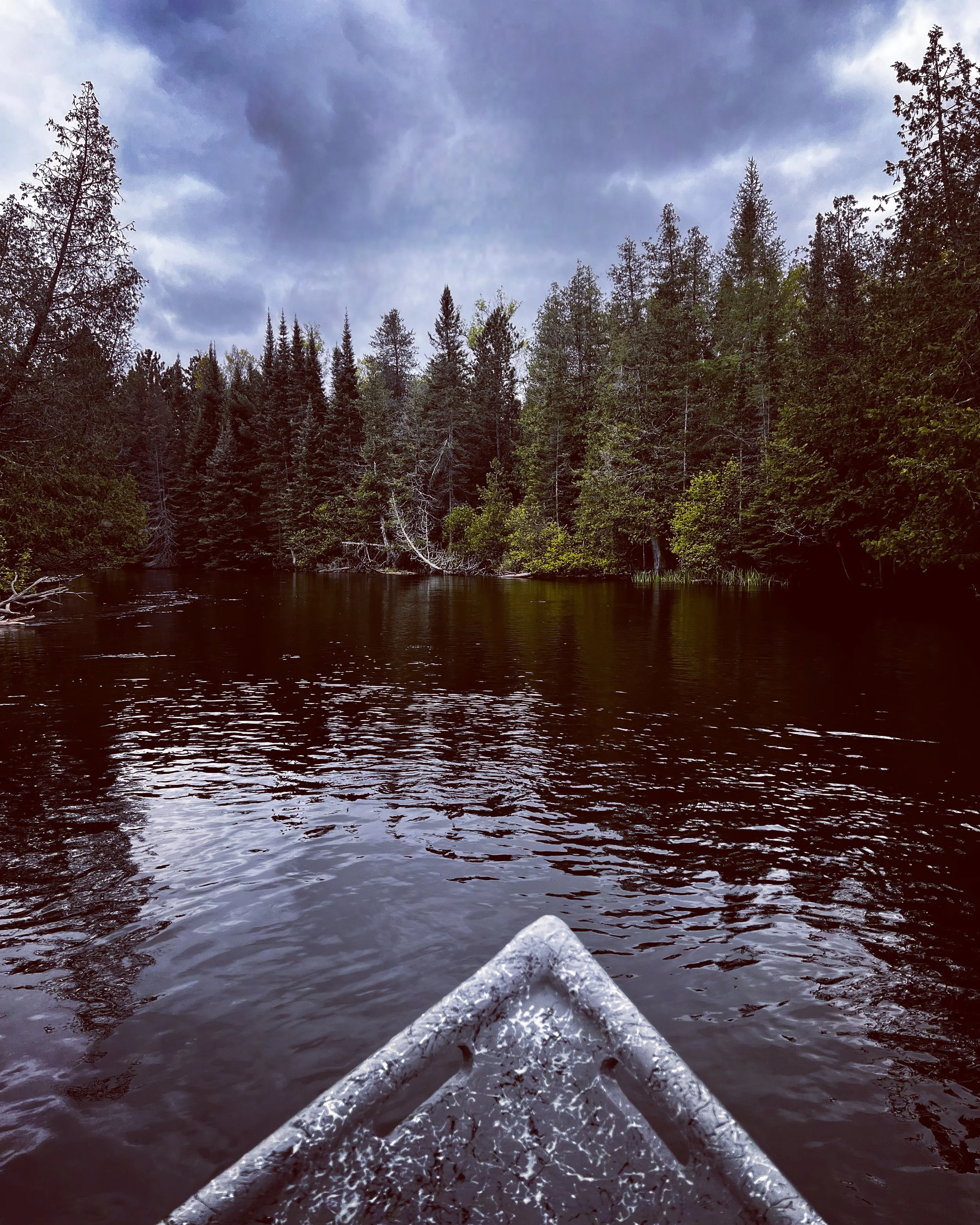 CFEFE7FE-100C-47CD-8E8C-E2795C2DC311 3.JPG