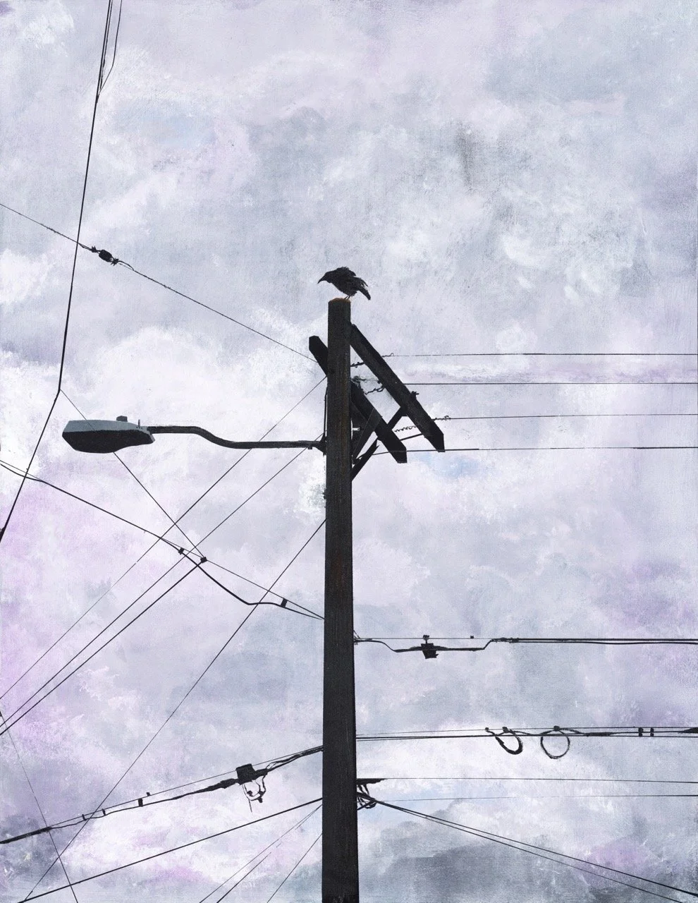 Crow Observing Garfield Square Park (Mission, SF)