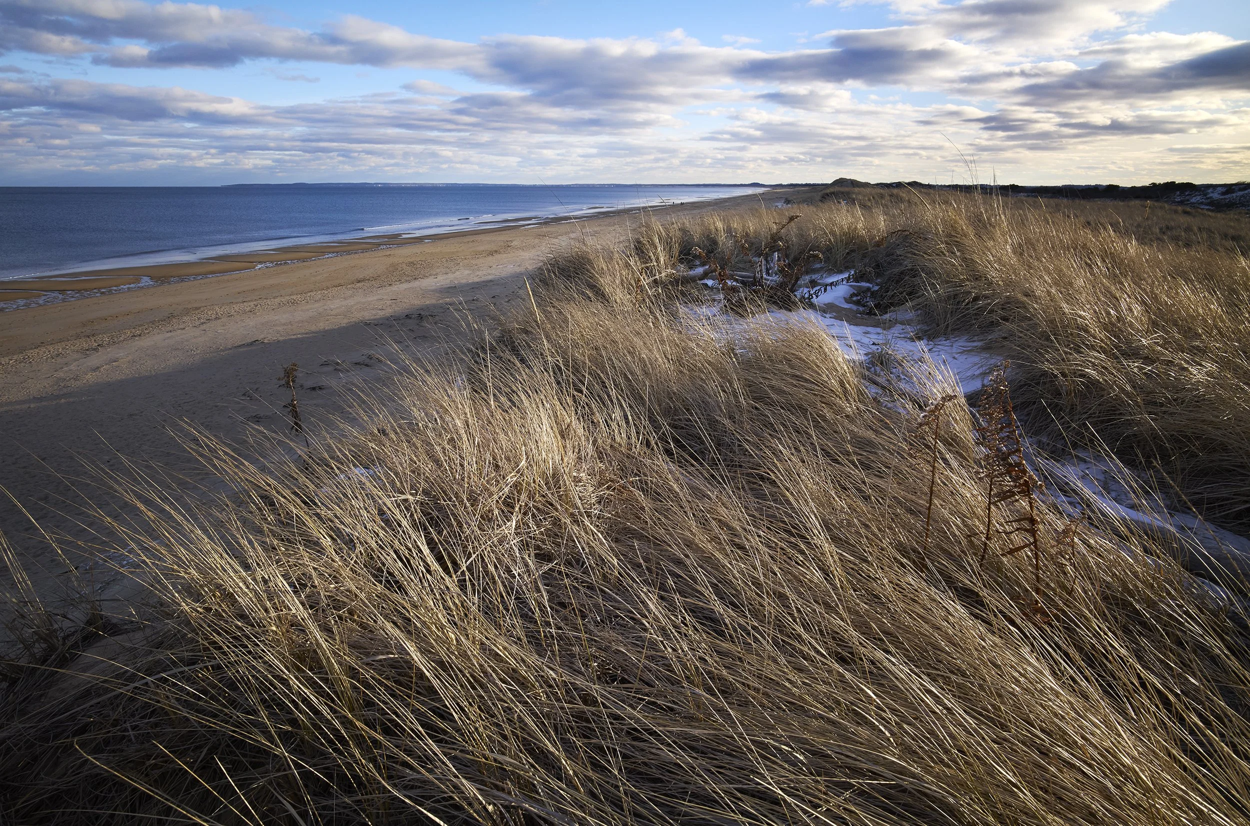 Plum_Island_LM100634.jpg