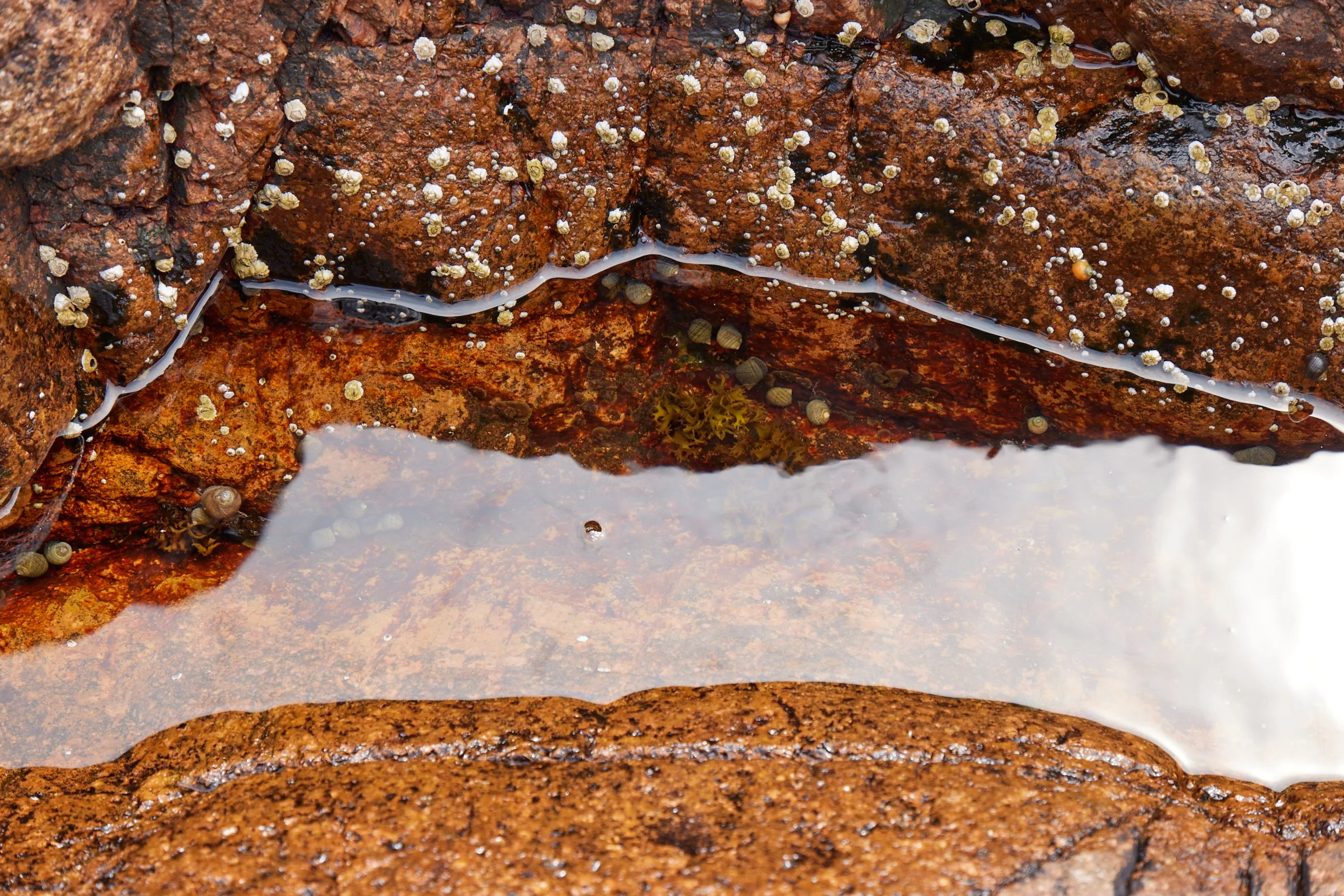 Tide_Pools_180.jpg