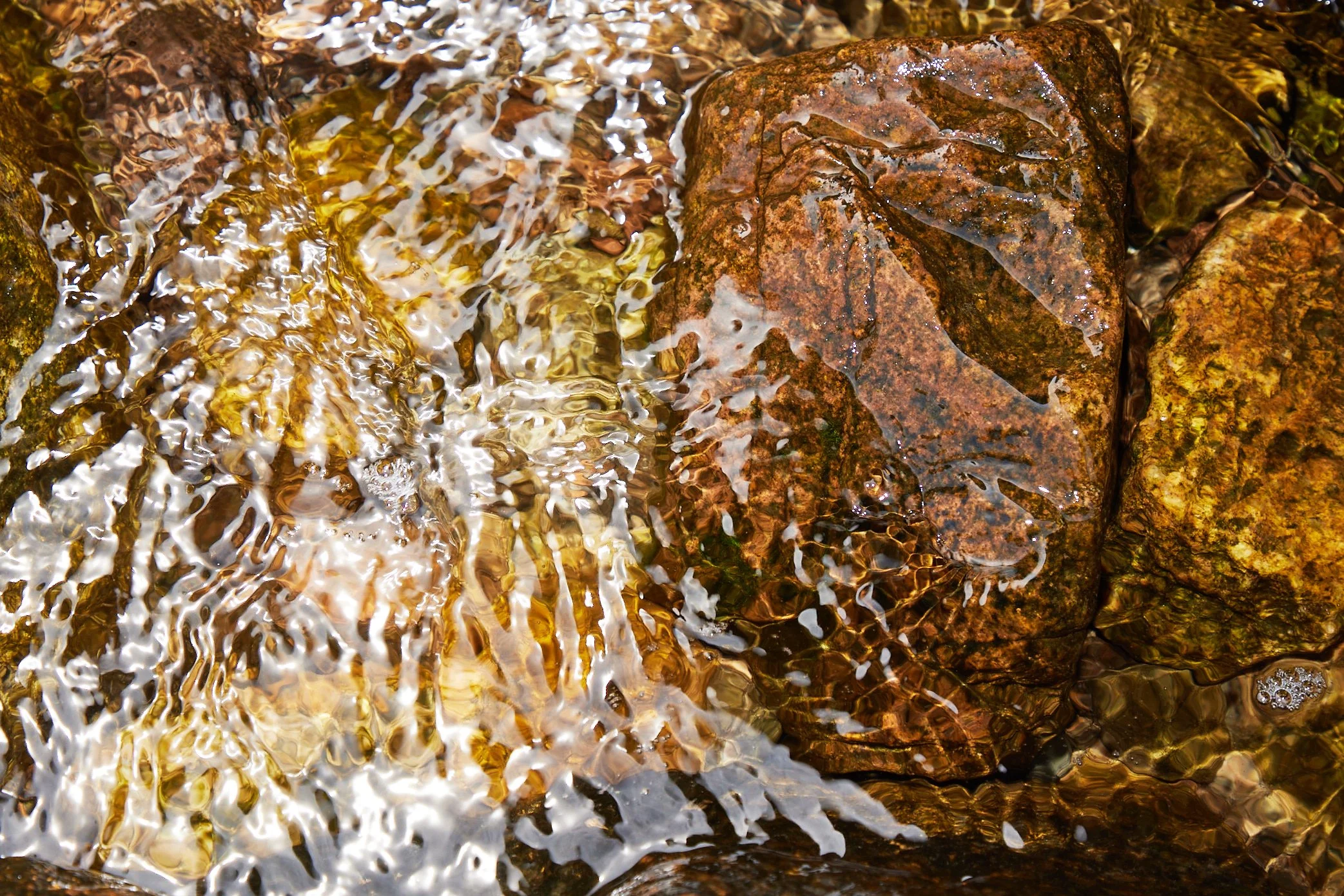 Tide_Pools_241.jpg