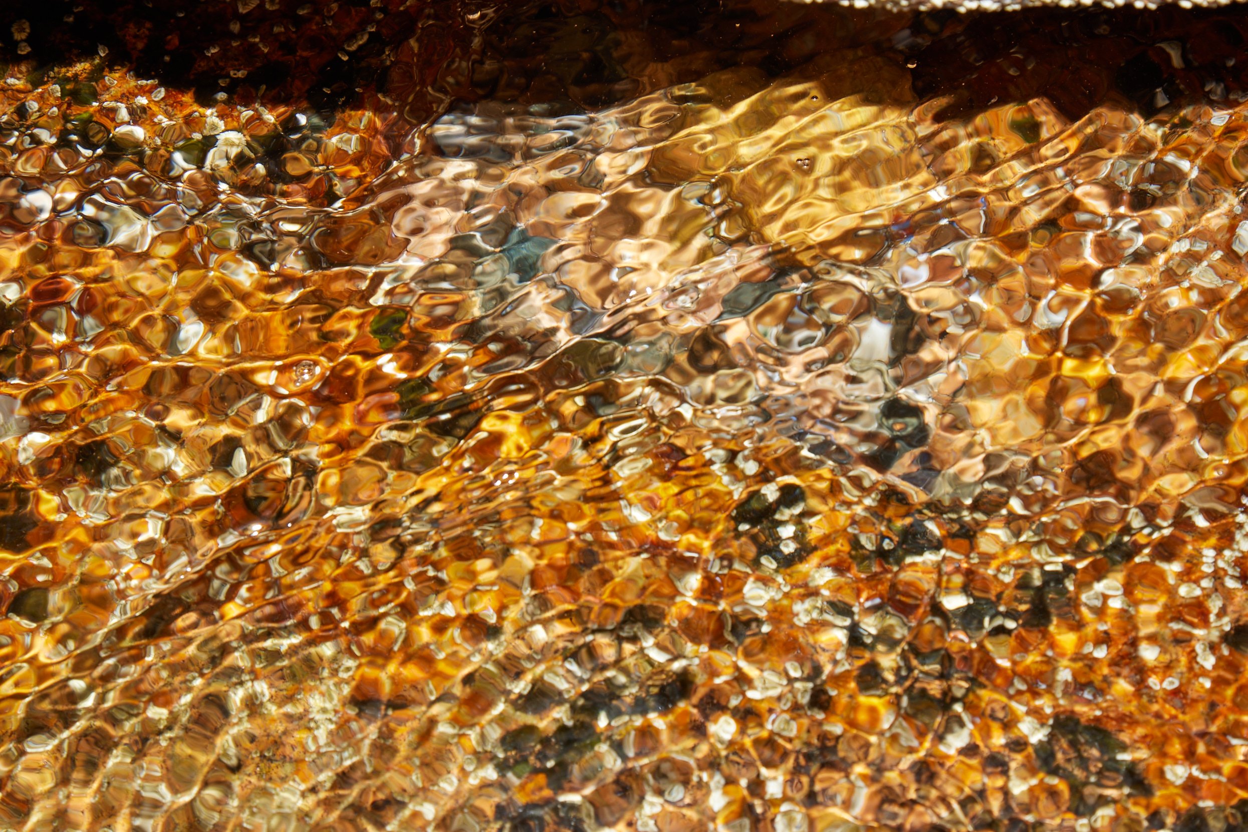 Tide_Pools_096.jpg