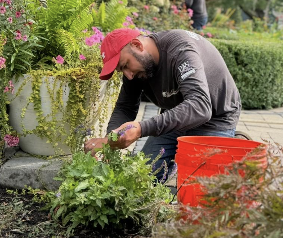 Spring Planting Michigan