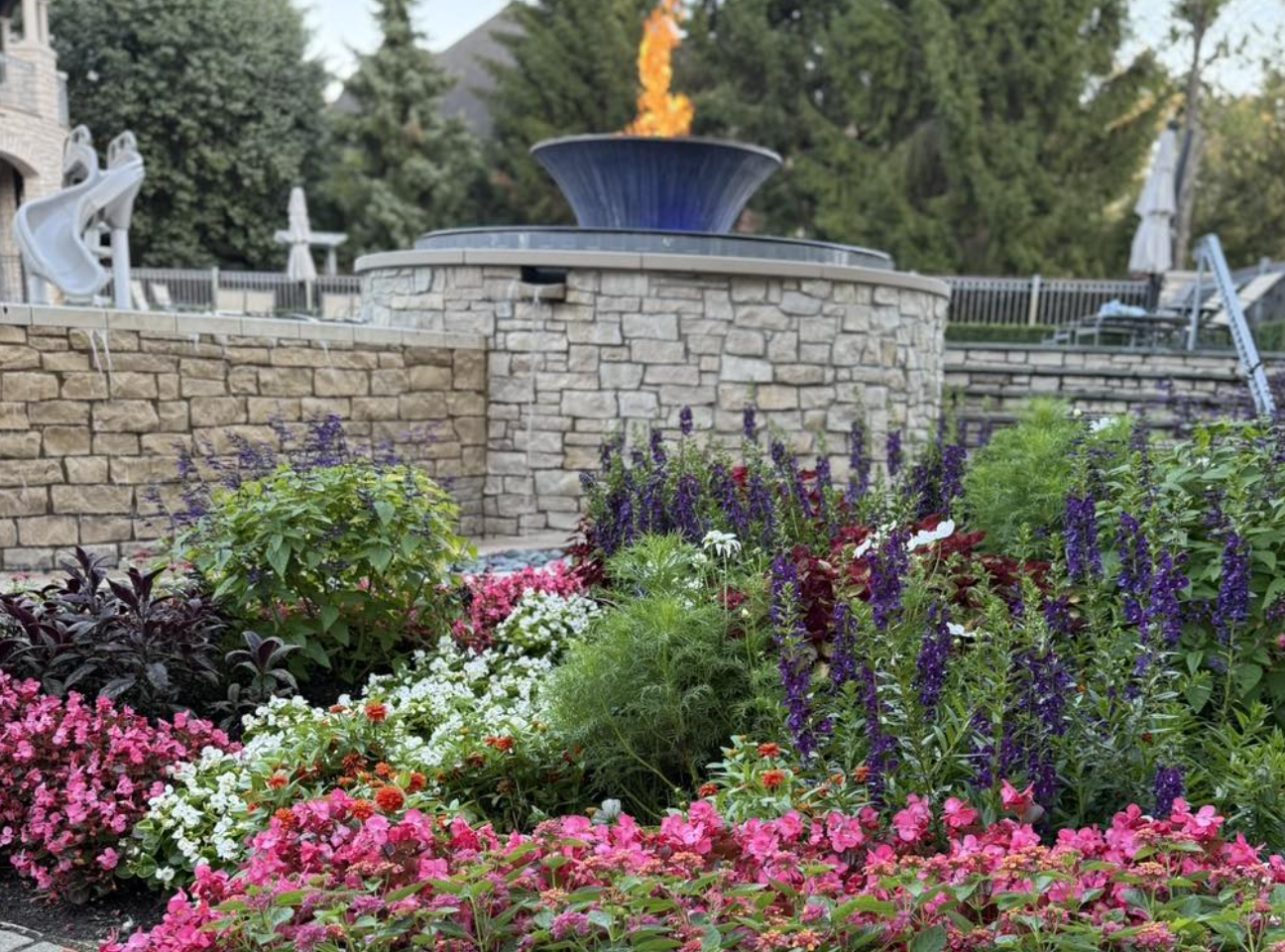 7 Spring Planting Tips to Set Your Landscape Up for Success