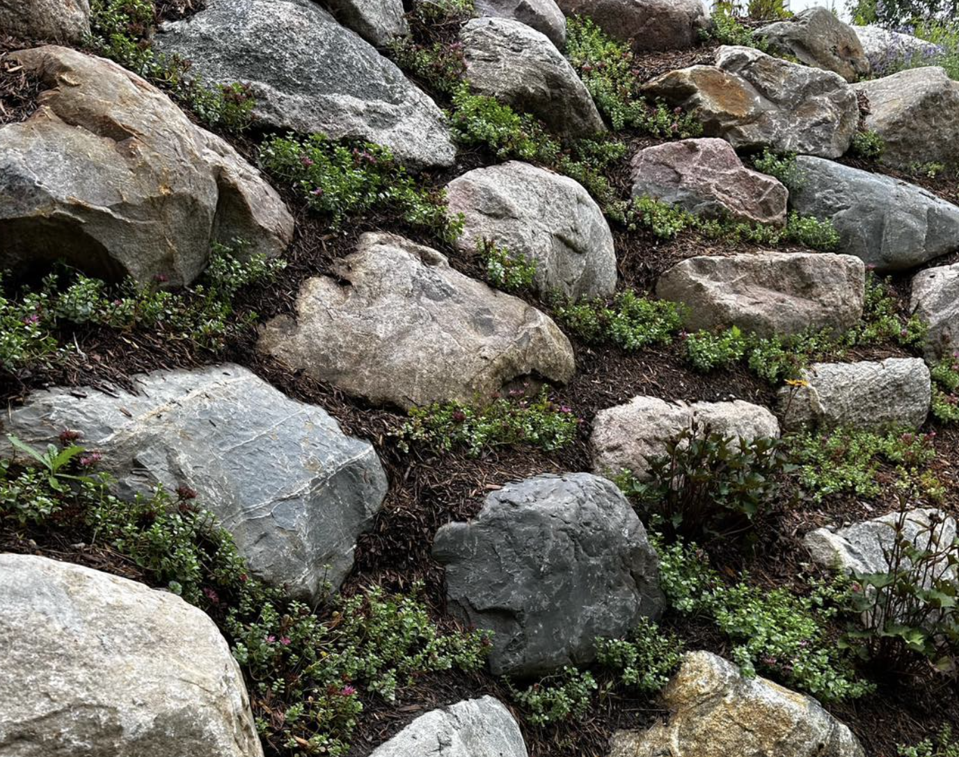 Spring Planting Michigan