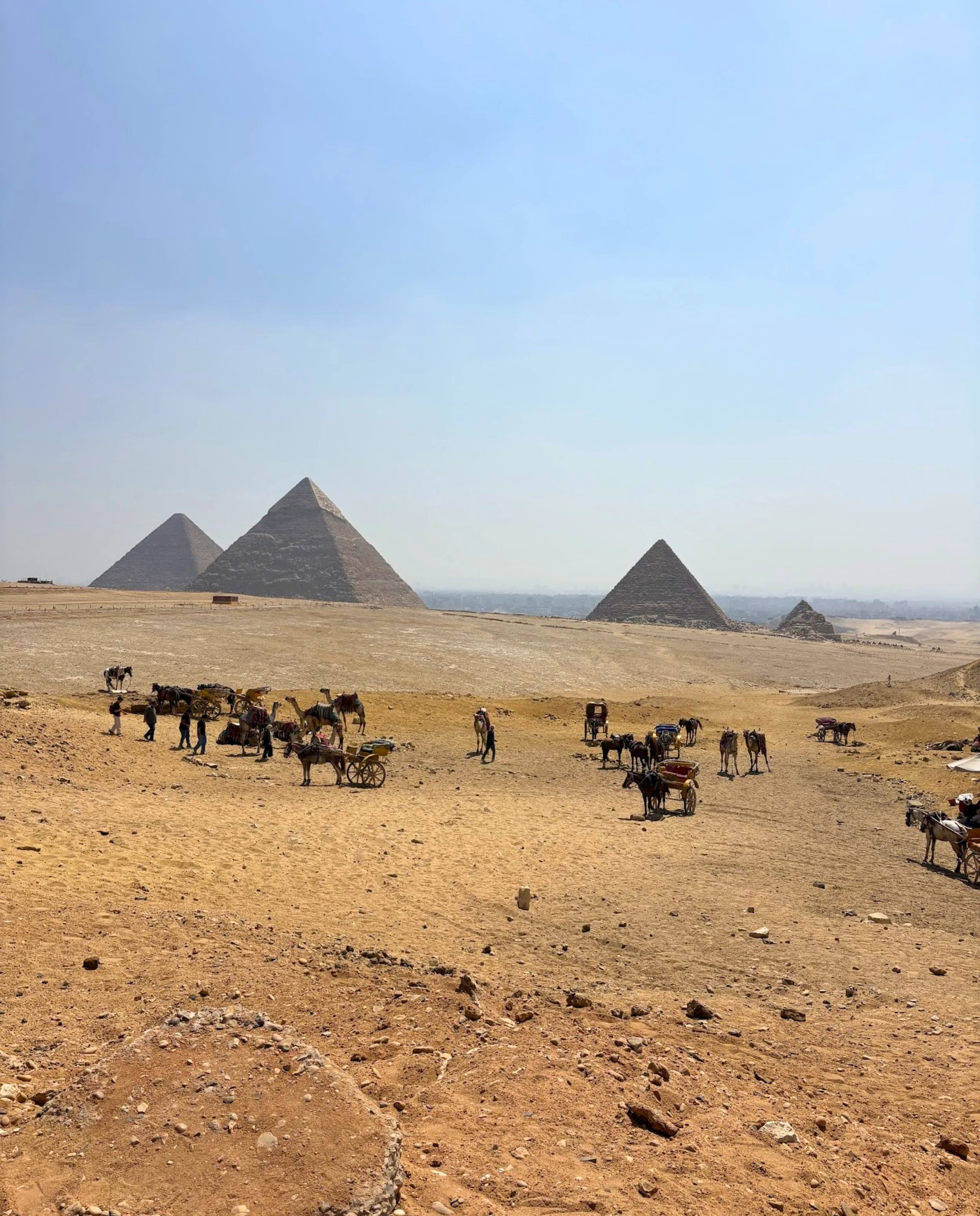 Day 4: From Ancient Egypt to Modern Egypt

As our ACTS-led pilgrimage recap concludes, our graduates spent the day exploring some of Egypt&rsquo;s most iconic historical and Christian landmarks, from the Pyramids of Giza and the Grand Egyptian Museum