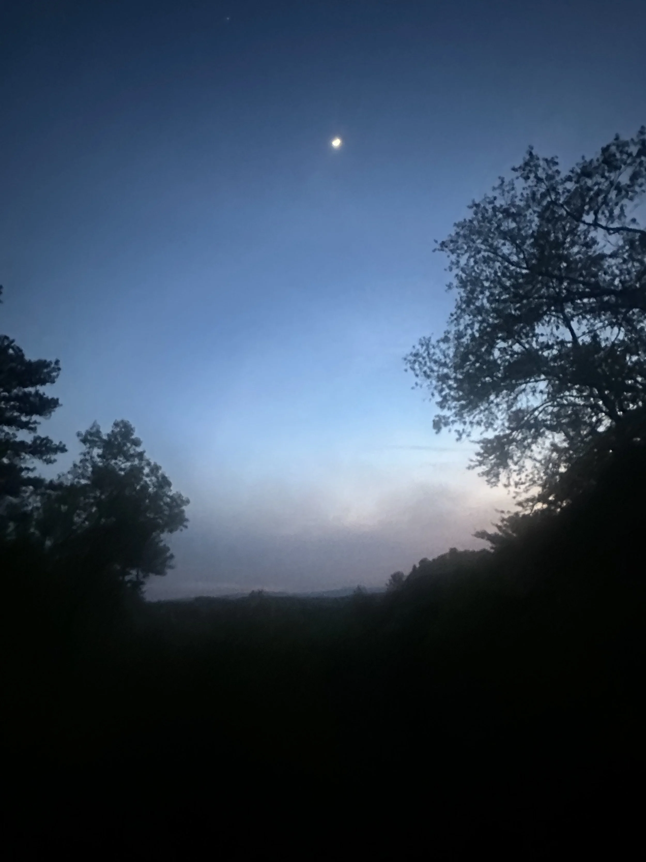 IMG_5779.jpeg