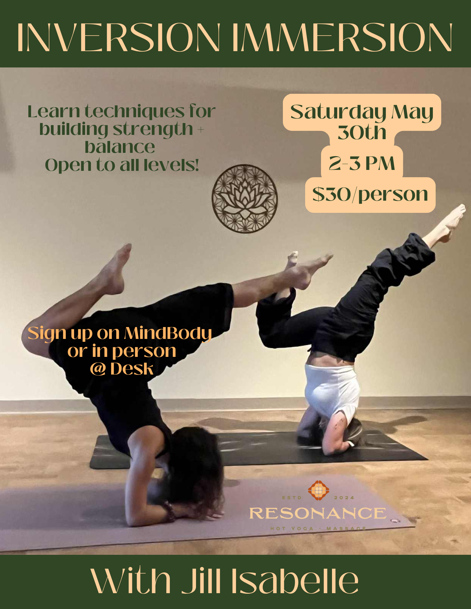 Inversion Immersion Workshop