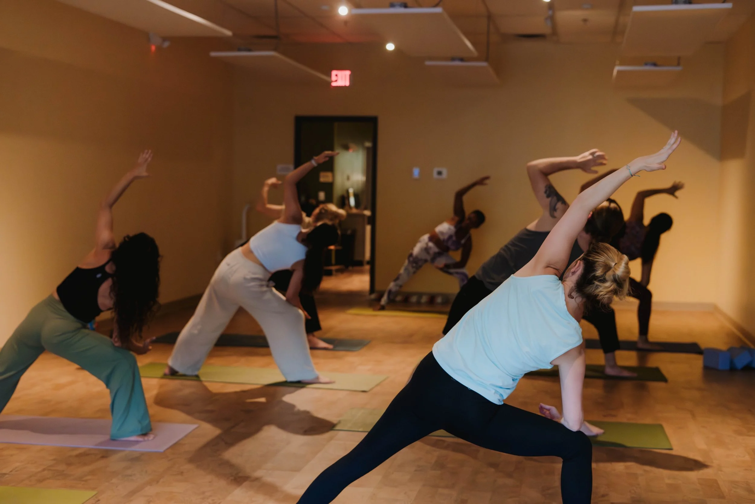 Our one-off workshops and special events.