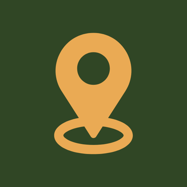 location icon