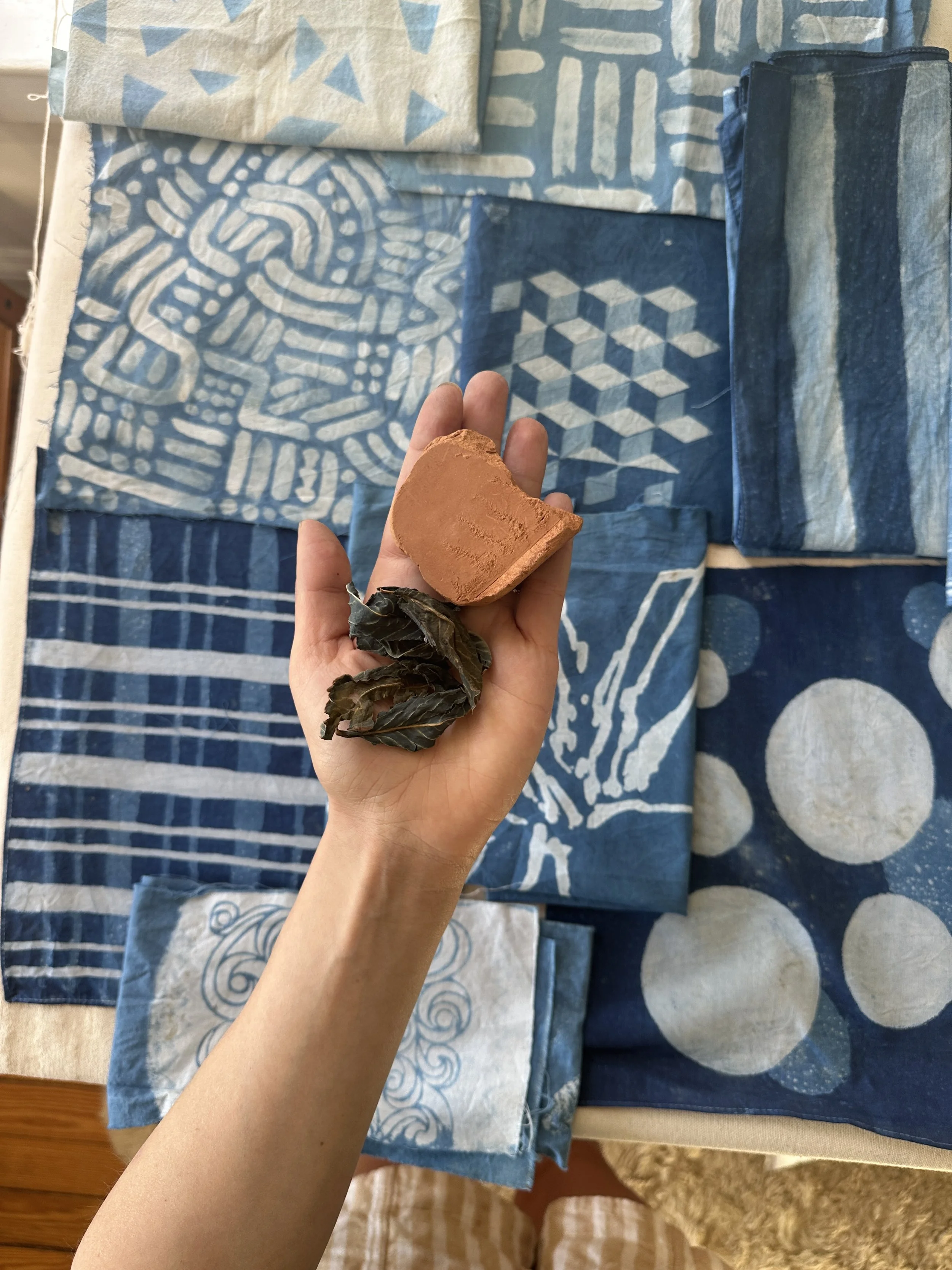 Copy of IMG_1524.JPG