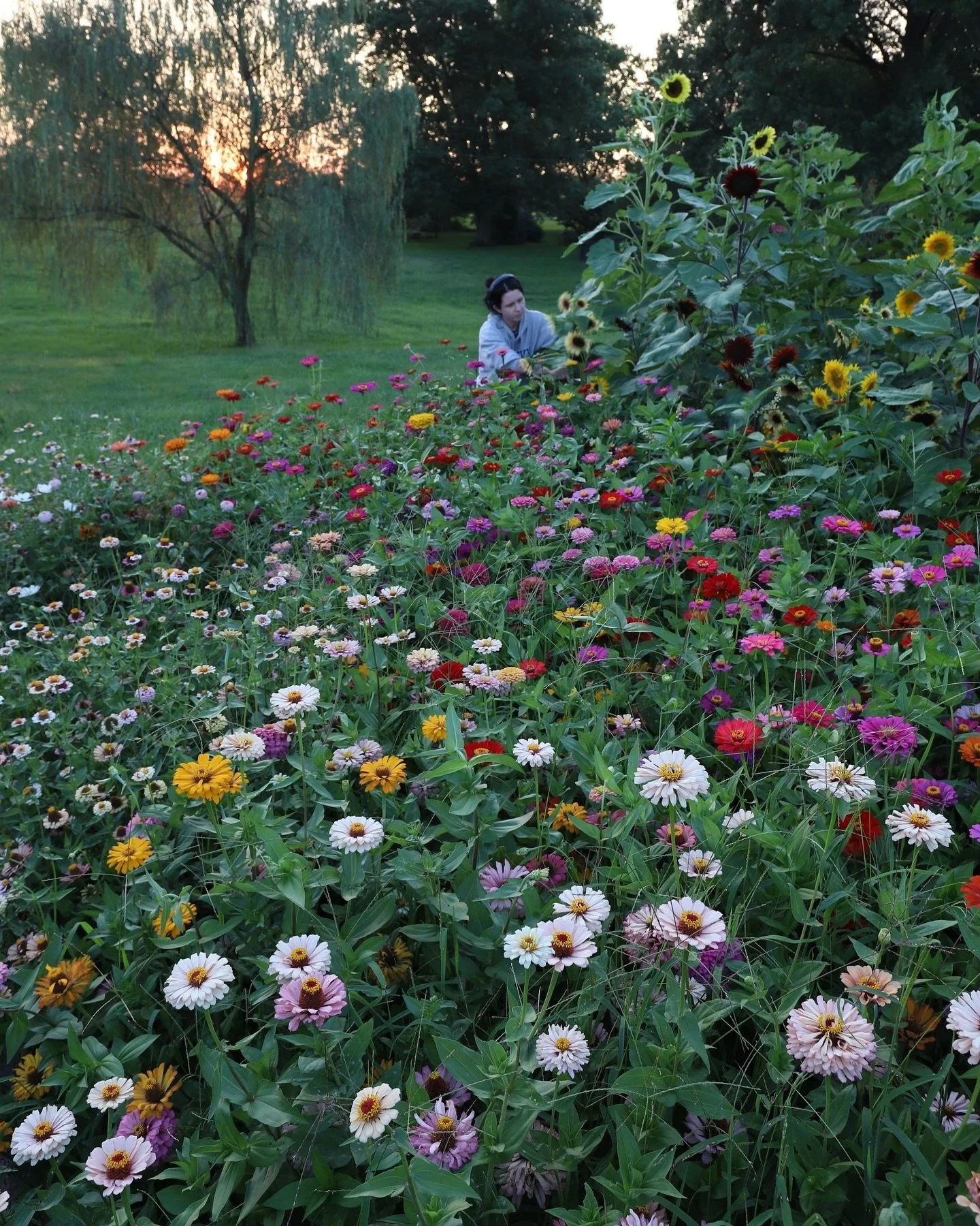 My happy place 🫶🏻💐🌷