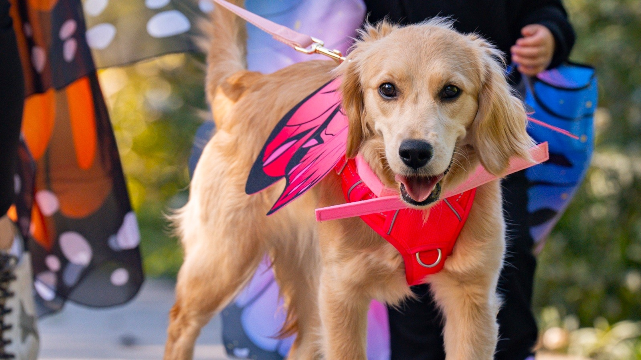 7. Howl-o-Ween at The Morton Arboretum