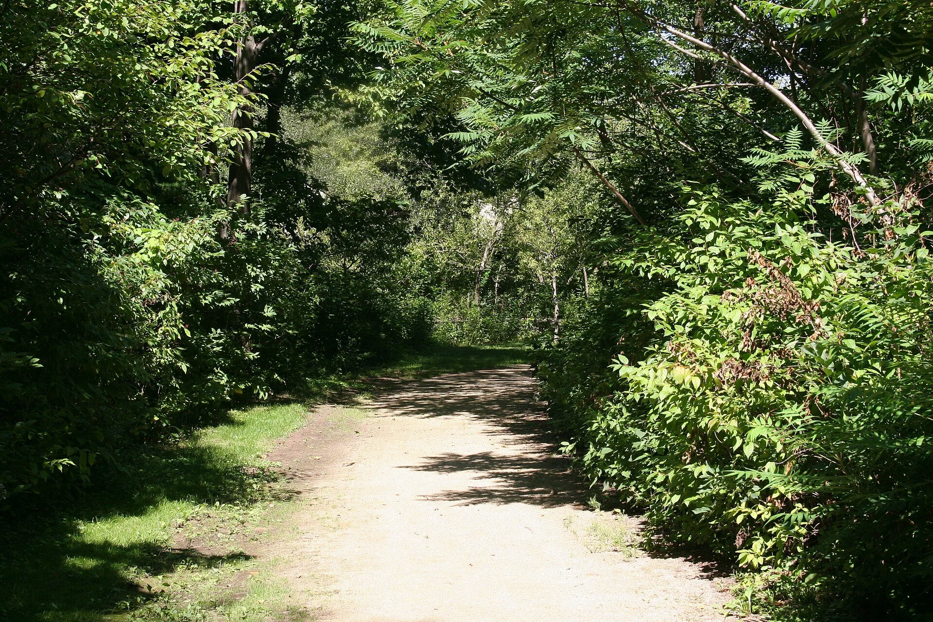 Wildflower_and_Bird_Sanctuary_in_Mahoney_Park_5.JPG