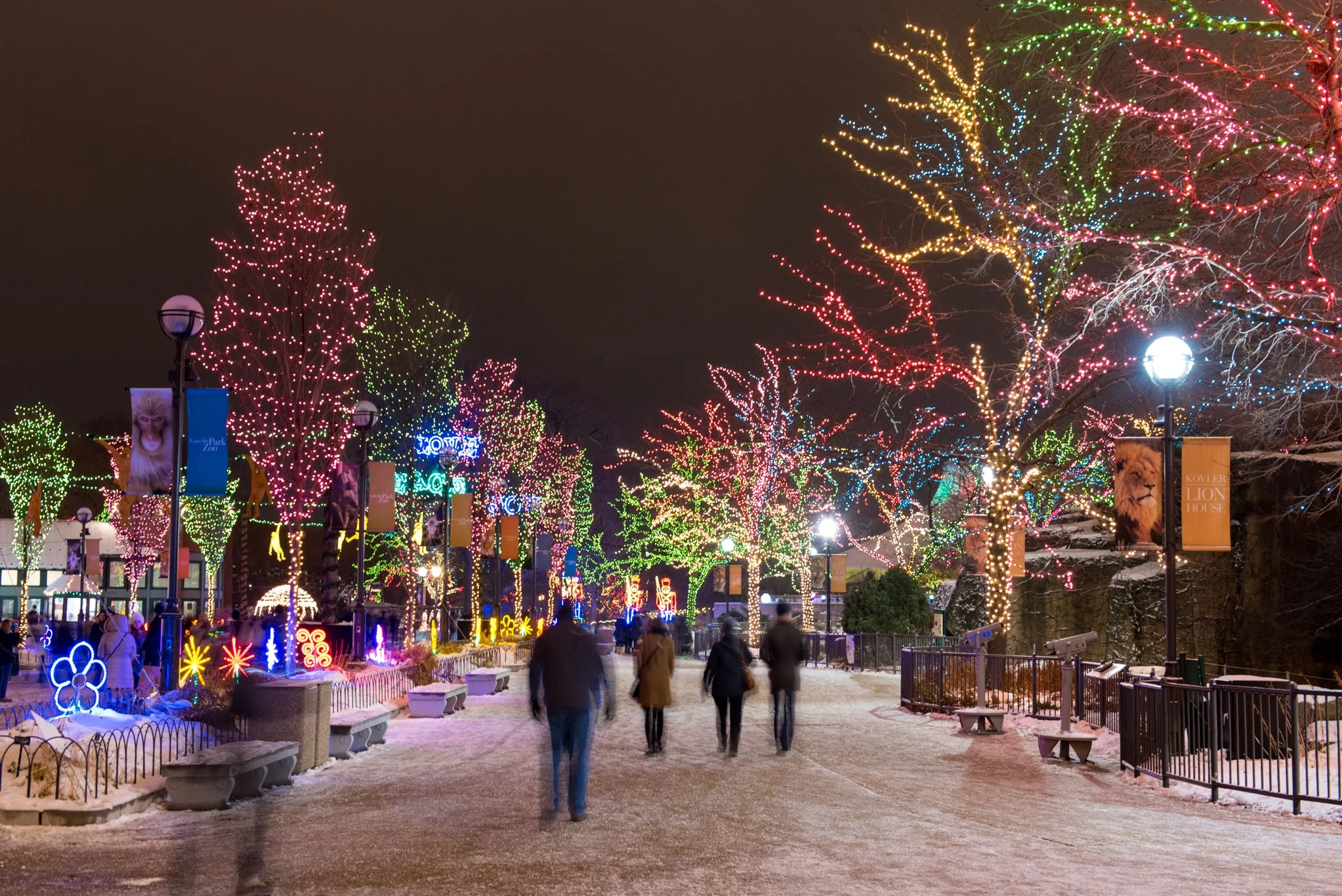 Lincoln Park Zoo LIghts.jpg