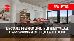 Sun-Soaked 1-Bedroom Condo in University Village: 1525 S Sangamon St Unit 610, Chicago, IL 60608