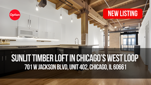Sunlit Timber Loft in Chicago’s West Loop For Sale: 701 W Jackson Blvd Unit 402, Chicago, IL 60661