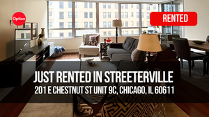 Luxury Condo Just Rented in Streeterville — 201 E Chestnut St Unit 9C, Chicago, IL 60611