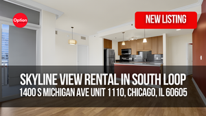 Skyline View Rental in South Loop: 1400 S Michigan Ave Unit 1110, Chicago, IL 60605