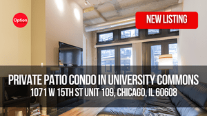 Private Patio Condo in University Commons: 1071 W 15th St Unit 109, Chicago, IL 60608