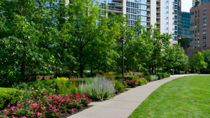 Chicago Neighborhoods With the Best Parks and Green Spaces