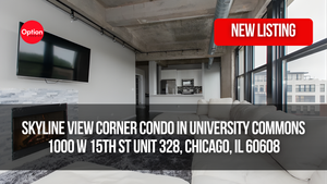 Skyline View Corner Condo in University Commons: 1000 W 15th St Unit 328, Chicago, IL 60608