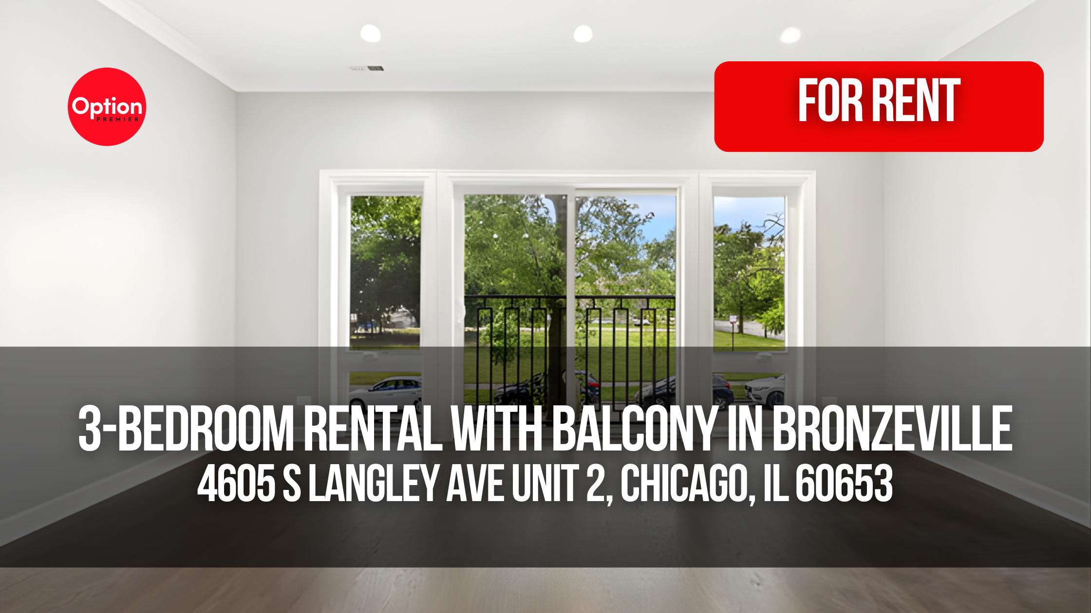 New Construction 3-Bedroom Rental With Balcony in Bronzeville: 4605 S Langley Ave Unit 2, Chicago, IL 60653