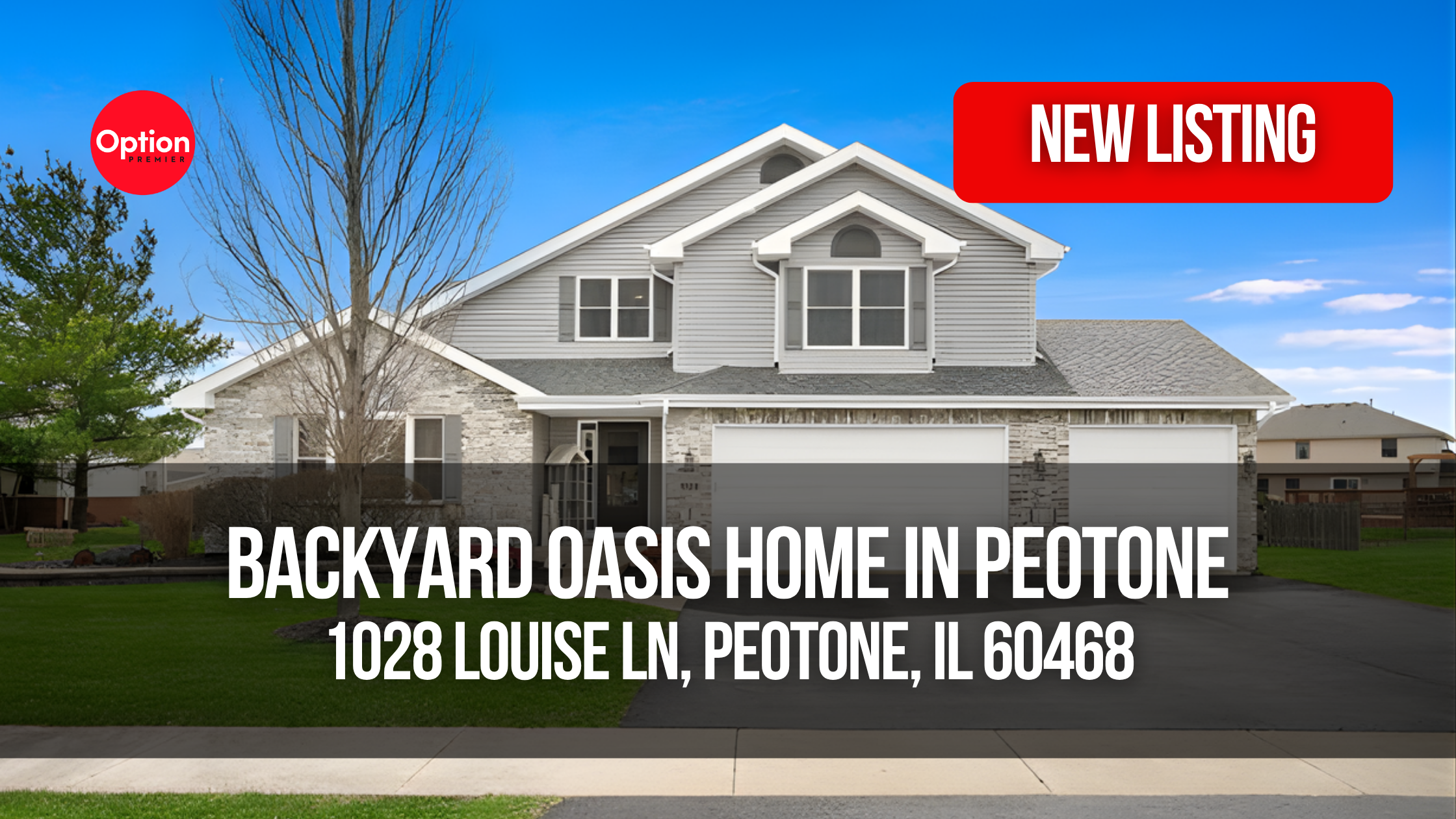 Backyard Oasis Home in Peotone: 1028 Louise Ln, Peotone, IL 60468