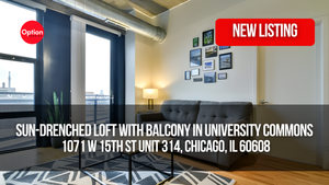 Sun-Drenched Loft With Balcony in University Commons: 1071 W 15th St Unit 314, Chicago, IL 60608