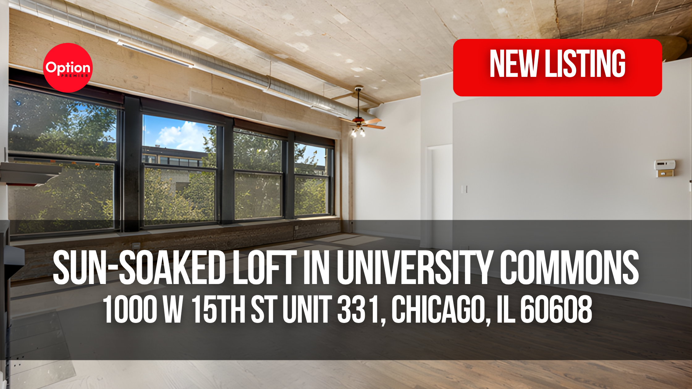 Sun-Soaked Loft With 3 Bedrooms in University Commons: 1000 W 15th St Unit 331, Chicago, IL 60608