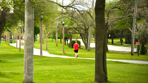 What Locals Actually Do in Villa Park, IL: Parks, Food, and Nearby Hotspots