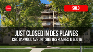 Spacious Condo Just Closed in Des Plaines — 1380 Oakwood Ave Unit 306, Des Plaines, IL 60016