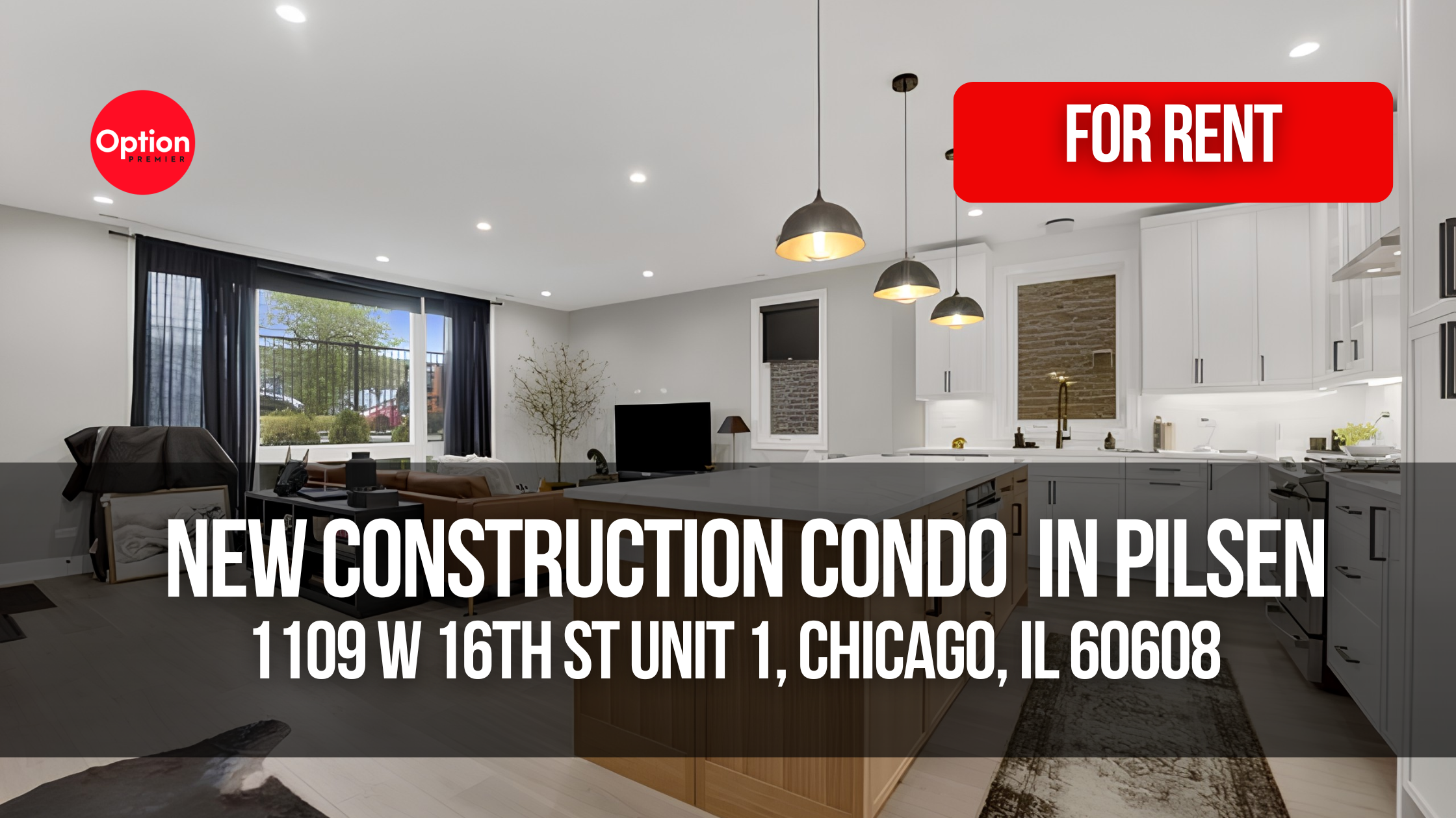New Construction Condo With Heated Floors in Pilsen: 1109 W 16th St Unit 1, Chicago, IL 60608