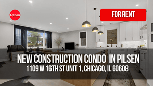 New Construction Condo With Heated Floors in Pilsen: 1109 W 16th St Unit 1, Chicago, IL 60608