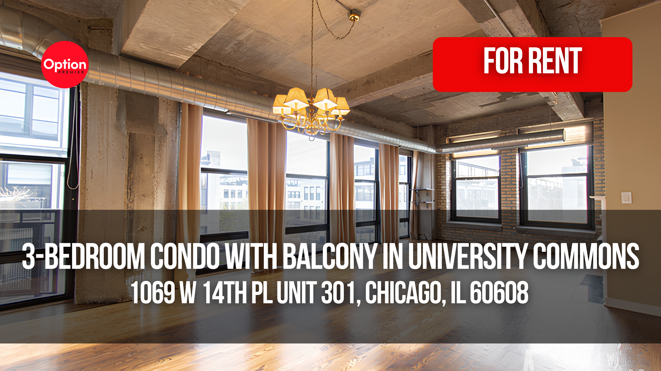 3-Bedroom Condo With Balcony in University Commons: 1069 W 14th Pl Unit 301, Chicago, IL 60608