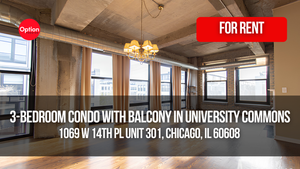 3-Bedroom Condo With Balcony in University Commons: 1069 W 14th Pl Unit 301, Chicago, IL 60608