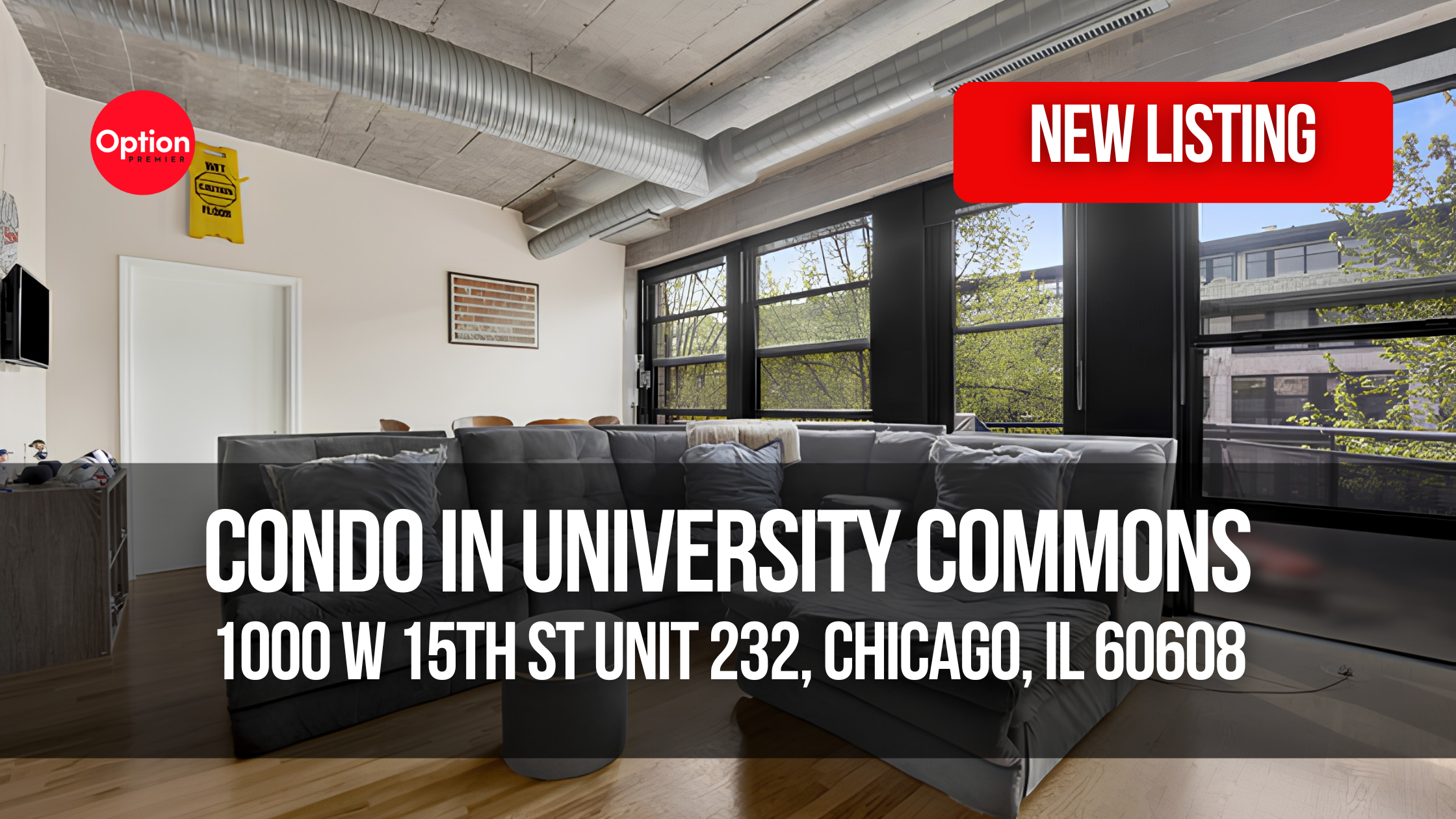 South-Facing Condo With Upgraded Kitchen in University Commons: 1000 W 15th St Unit 232, Chicago, IL 60608