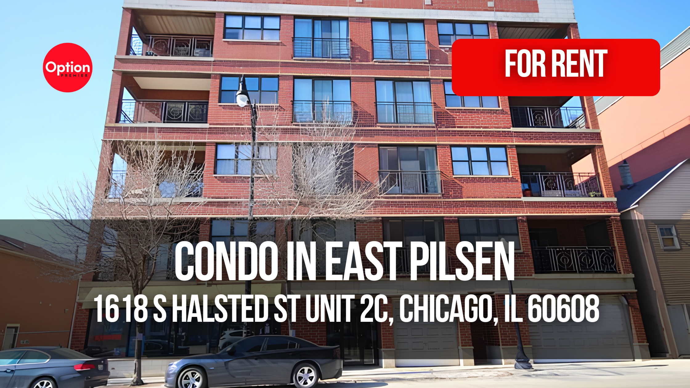 Condo With Balcony and Rooftop Deck in East Pilsen: 1618 S Halsted St Unit 2C, Chicago, IL 60608