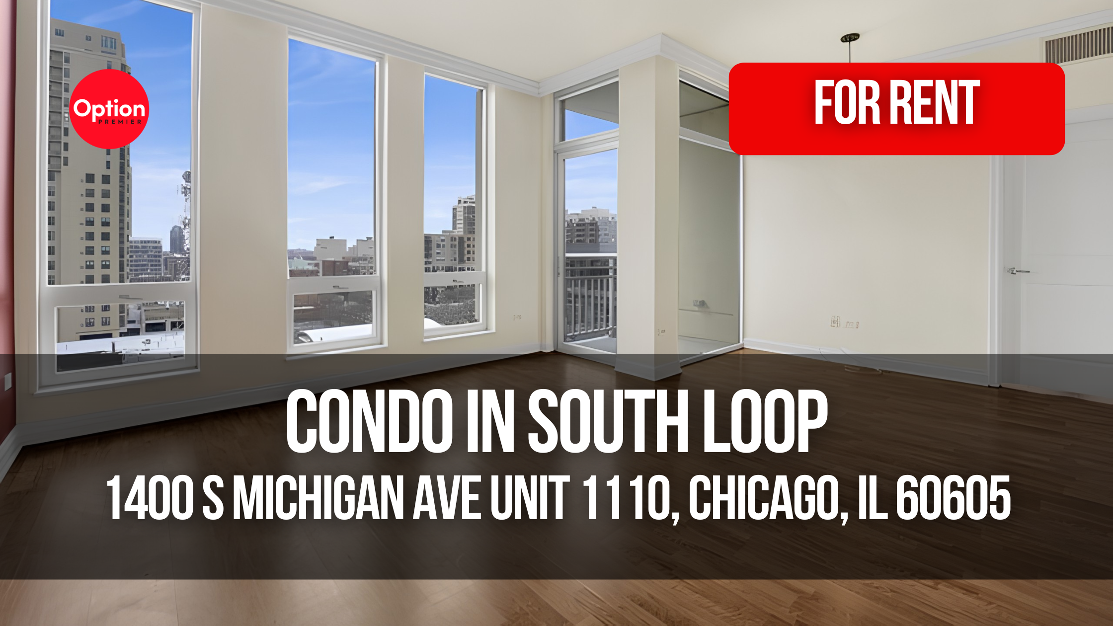Skyline View Rental in South Loop: 1400 S Michigan Ave Unit 1110, Chicago, IL 60605