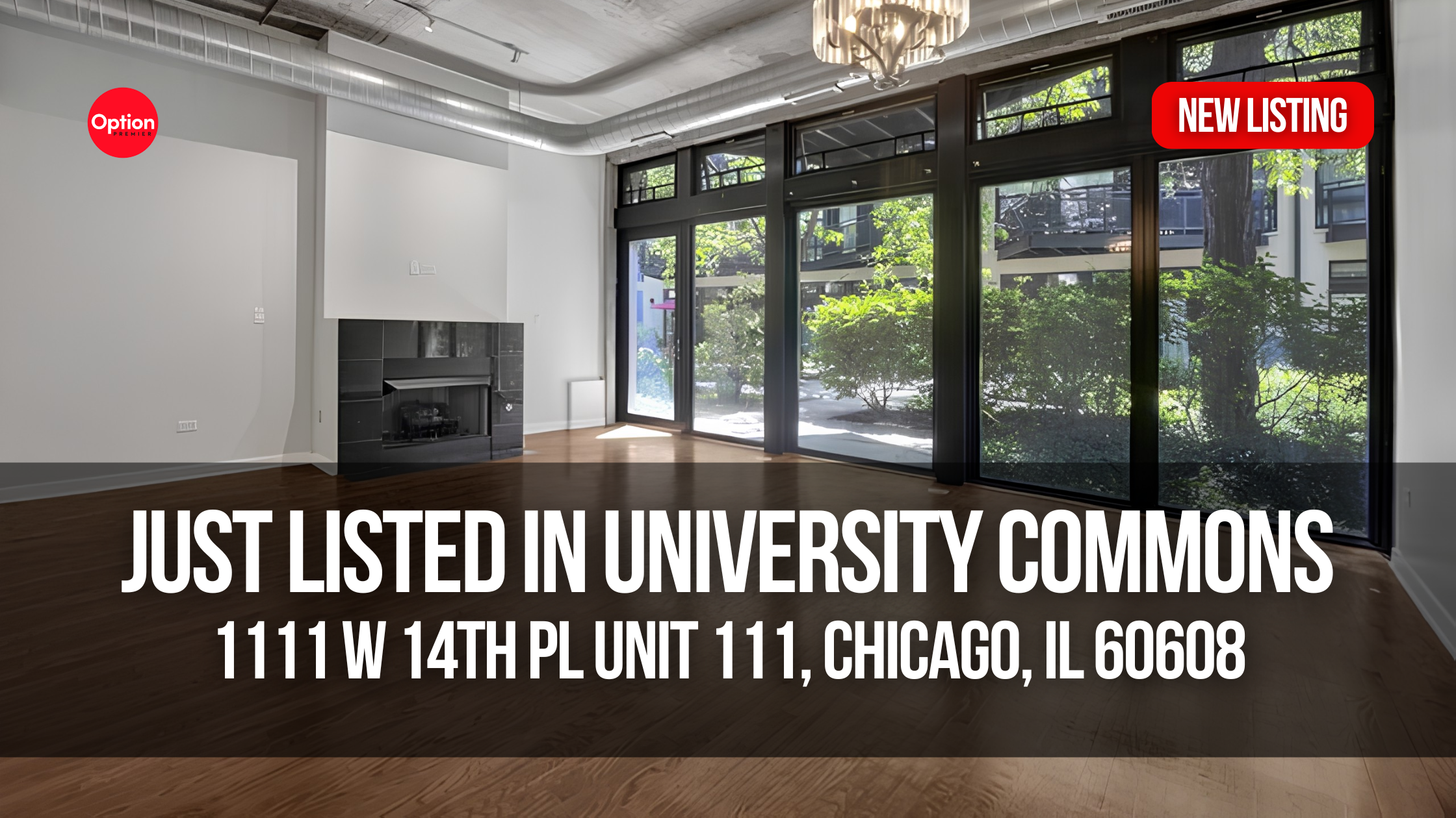 University Commons Condo for Sale: 1111 W 14th Pl Unit 111, Chicago, IL 60608