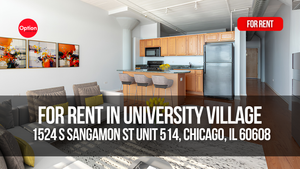 Bright 1-Bedroom Rental in University Village: 1524 S Sangamon St Unit 514, Chicago, IL 60608